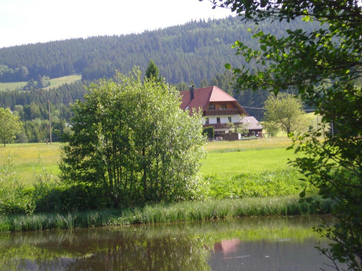 Ferienhaus Ehinger Breitnau Exterior photo