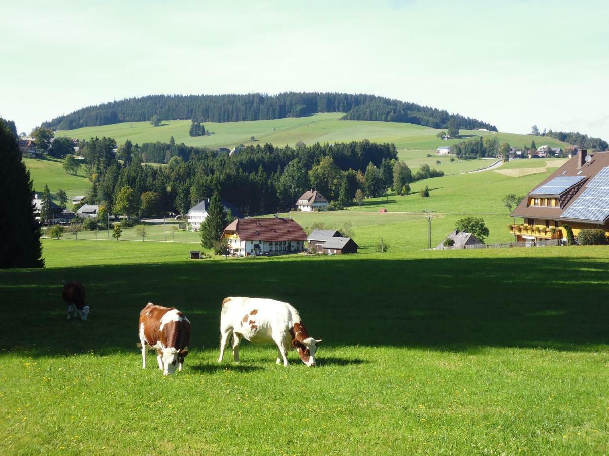 Ferienhaus Ehinger Breitnau Exterior photo