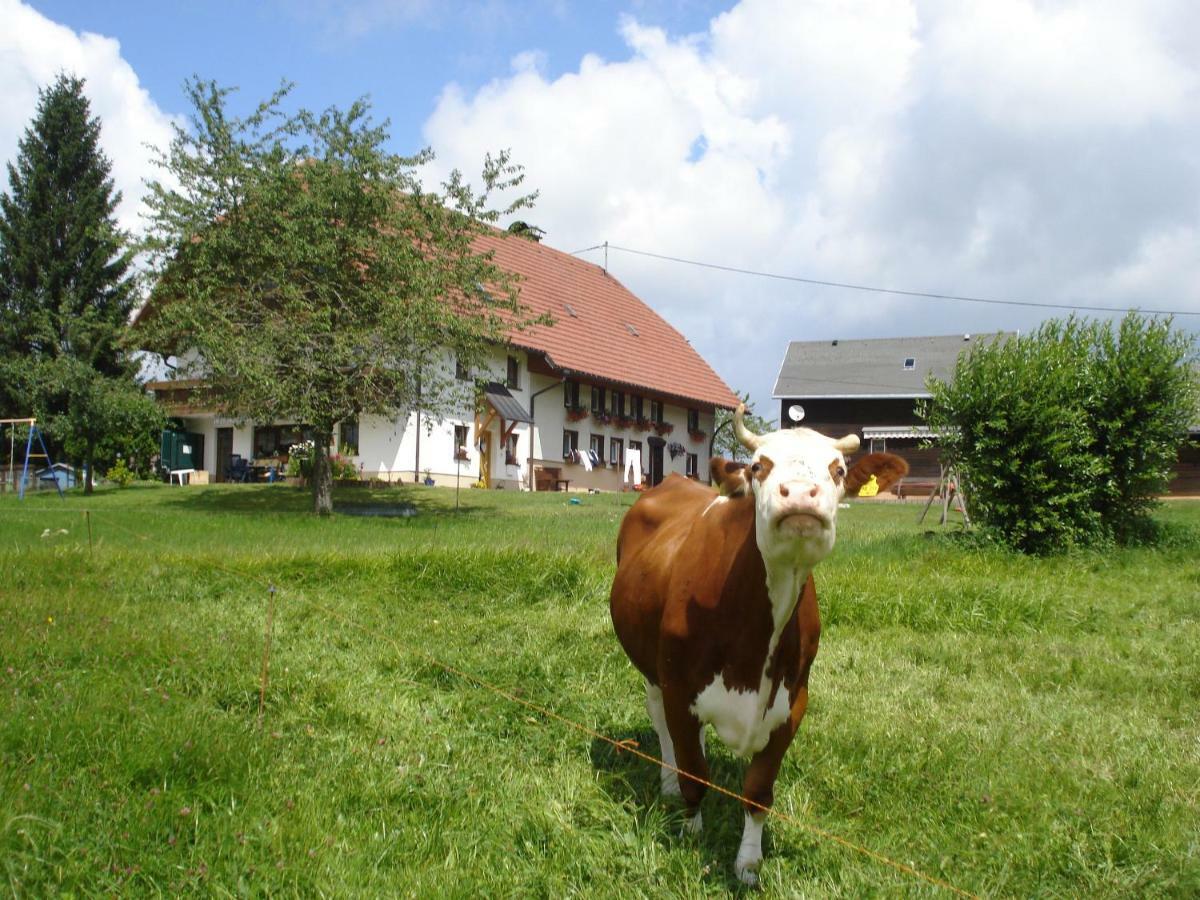 Ferienhaus Ehinger Breitnau Exterior photo
