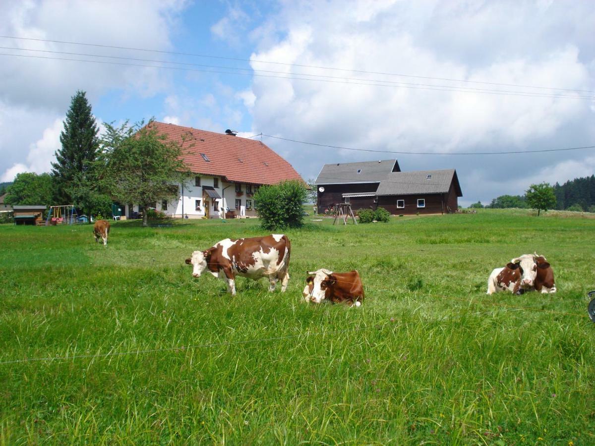 Ferienhaus Ehinger Breitnau Exterior photo